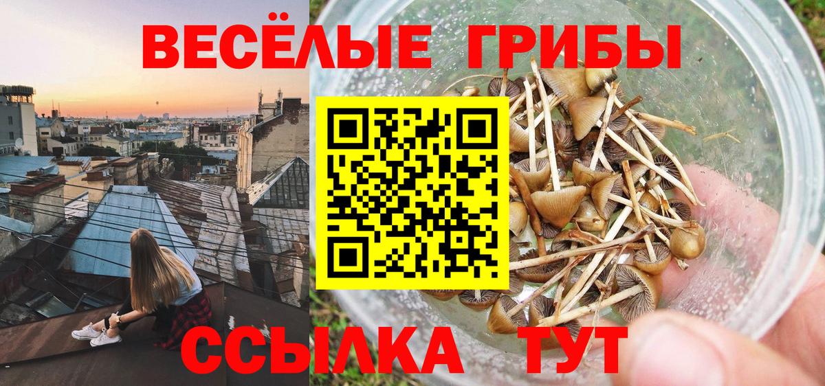Псилоцибиновые грибы Magic Shrooms  Вход с VPN  Кимры 